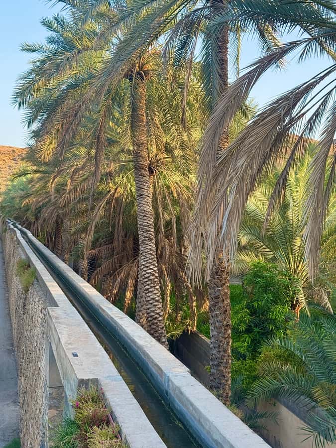 From Muscat: Nizwa Fort, Souq, falaj & Museum Full Day Tour - Five things that make this Nizwa day trip worthwhile