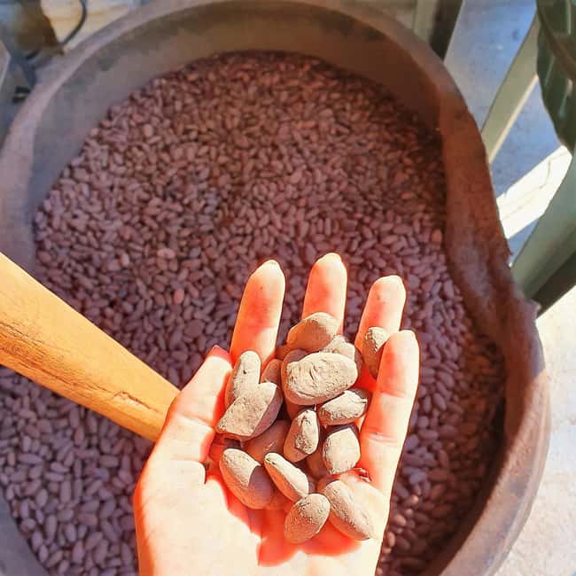 From Puerto Plata Priv: Cocoa, Coffee, Cigars & Local Market - Why This Tour Works for Curious Visitors