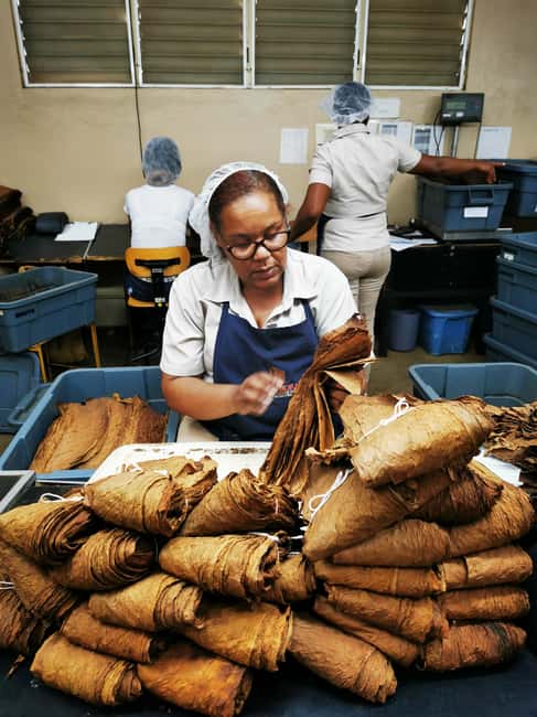 From Puerto Plata Priv: Cocoa, Coffee, Cigars & Local Market - Seeing Cigar Production at La Aurora