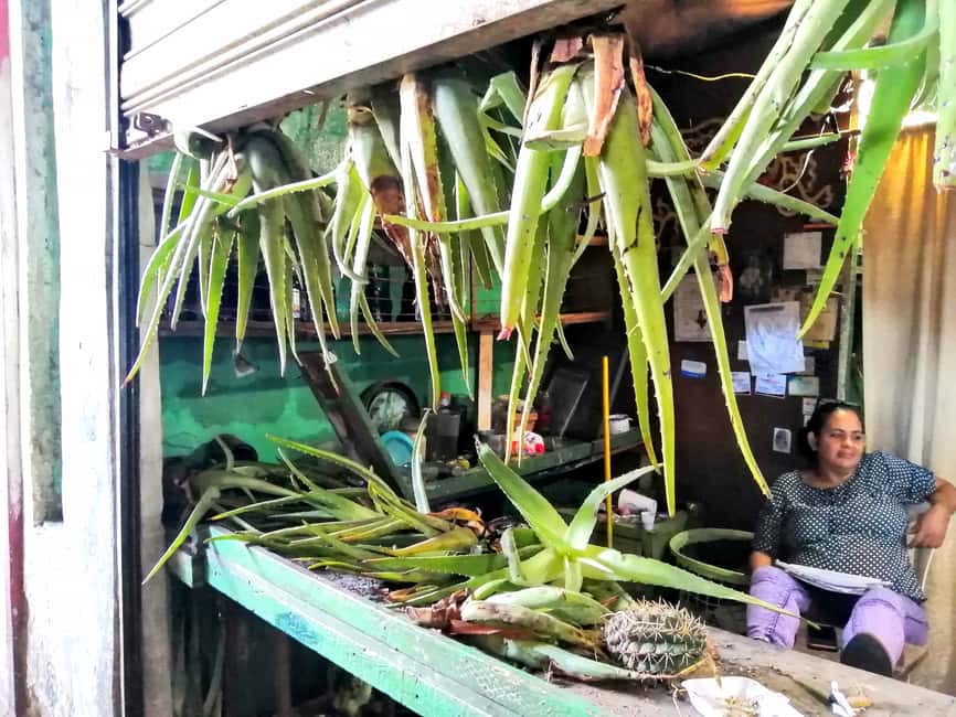 From Puerto Plata Priv: Cocoa, Coffee, Cigars & Local Market - Is $200 Per Person Fair Value?