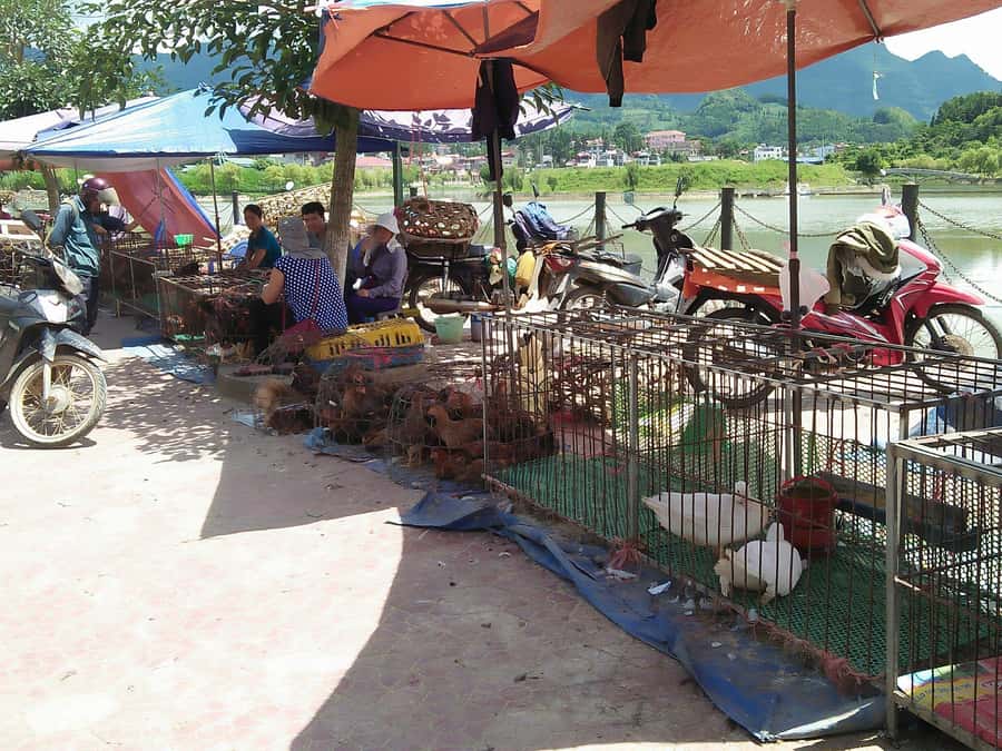 From Sa Pa: Sunday Bac Ha Market Group Tour - What the $28 price really covers