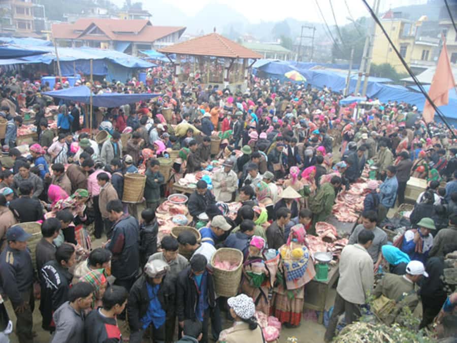 From Sa Pa: Sunday Bac Ha Market Group Tour - Timing, comfort, and guide quality