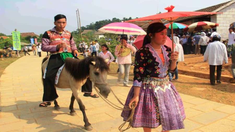 From Sa Pa: Sunday Bac Ha Market Group Tour - Who should book this Bac Ha day trip?