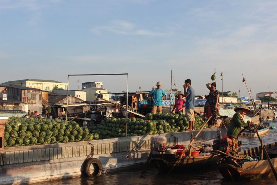 From Saigon: Private Tour to Cai Rang Floating Market 1 Day - Guide service and language