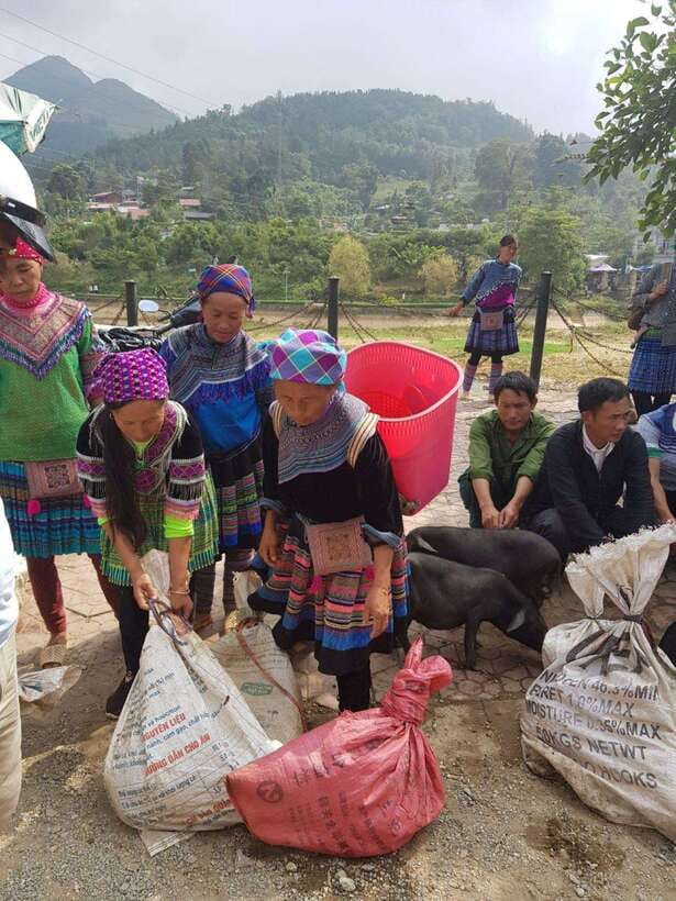 From Sapa: 1D Local Bac Ha Sunday Market Tour - Best seller - Lunch, a Hmong village, and a short walk