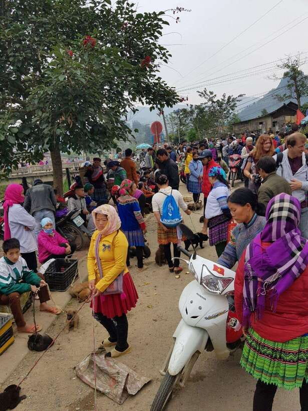 From Sapa: 1D Local Bac Ha Sunday Market Tour - Best seller - Who will enjoy this day most