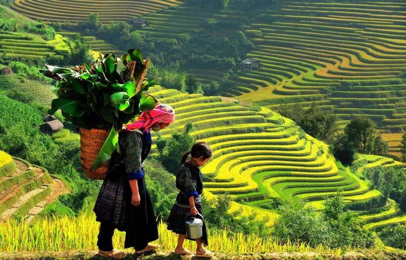 From Sapa: Bac Ha Sunday Market and Ethnic Villages Tour - Lunch and the short walk through Tay and Hmong villages