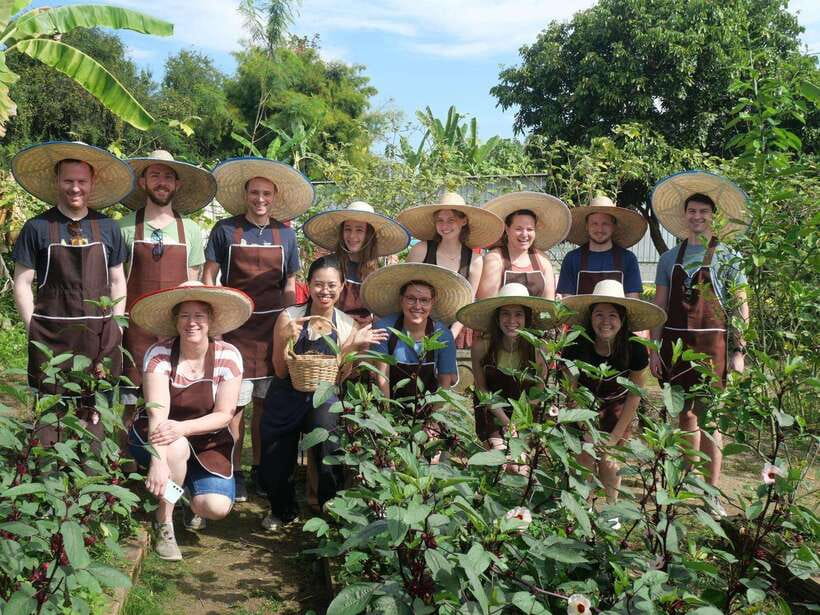 Full Day Thai Cooking Class in Organic Farm and Market - Key points at a glance