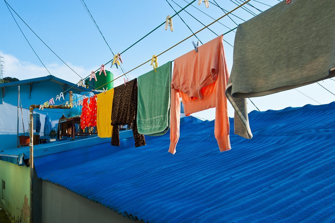 Gamcheon Cultural Village & Skywalk & Markets - Jagalchi Market: The strongest food and port connection