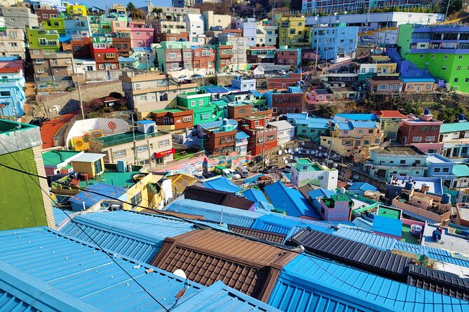 Gamcheon Culture Village, Jagalchi fish market story telling Tour - Timing, transport, and physical effort