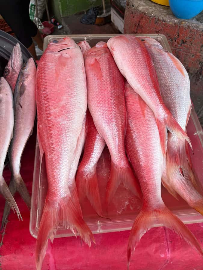 Get to know the real Cartagena: Bazurto Market gastronomic & cultural tour - Key points to know before you go