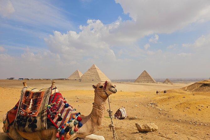 Giza Pyramids, Grand Egyptian Museum and Bazzar Market Tour - The Great Sphinx and the Valley Temple area