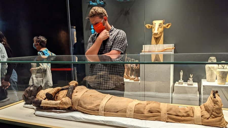 Giza Pyramids, Mummy Museum And Bazaar Private Day Tour - What the guided visit adds at Giza