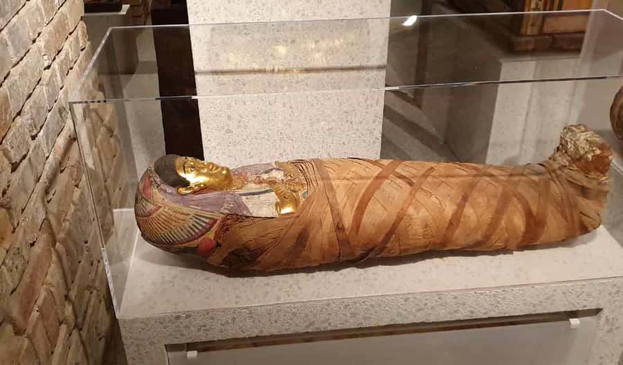 Giza Pyramids, Mummy Museum And Bazaar Private Day Tour - Lunch breaks up a full day