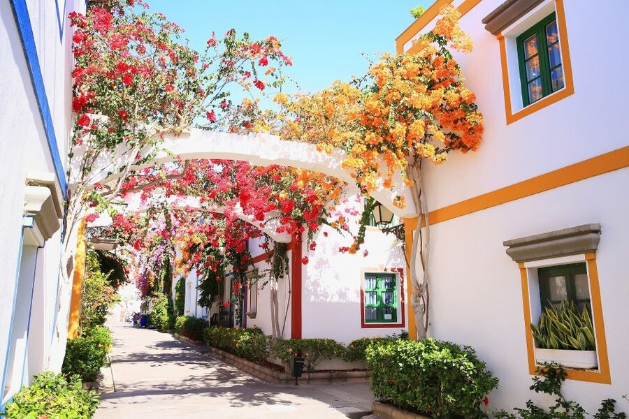 Gran Canaria: Puerto de Mogán Local Market Day Trip - Key points at a glance