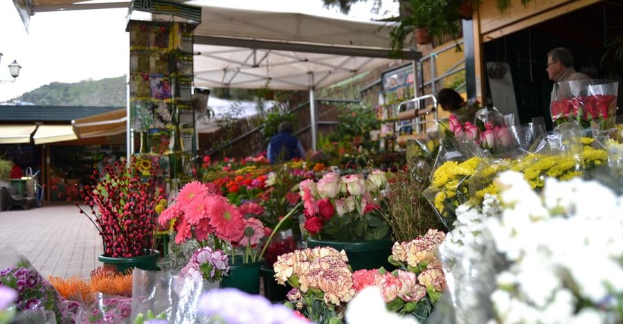 Gran Canaria: Traditional Markets, San Mateo & Teror - Key points to know before booking