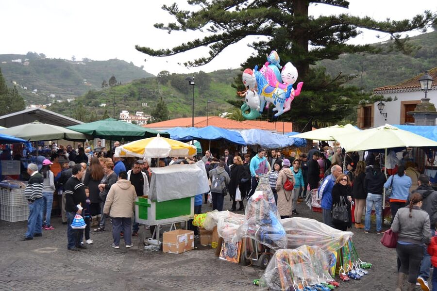 Gran Canaria: Traditional Markets, San Mateo & Teror - Guide quality and language
