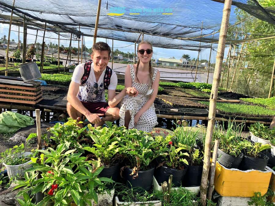 Group Tour: Floating Market, Rice Noodle, nursery vegatable - Dragon Fruit and Local Plantations