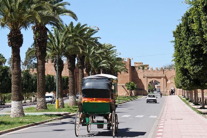 Guided Shared Day Trip Agadir to Marrakech medina & souks - Key points before you book