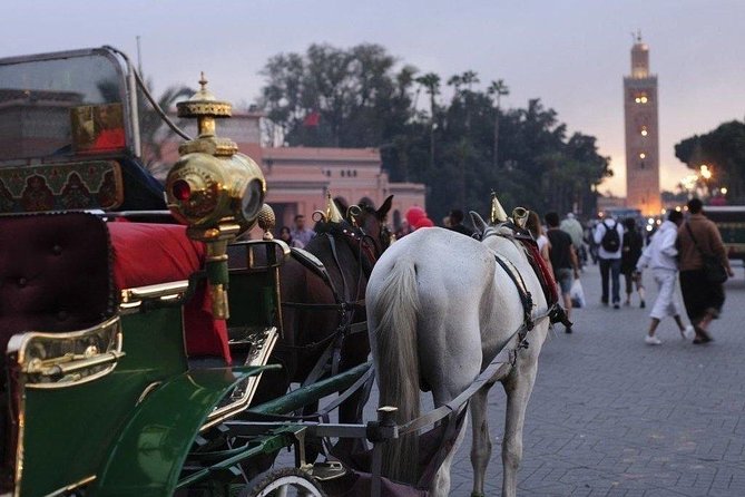 Guided Shared Day Trip Agadir to Marrakech medina & souks - What the guide adds to a crowded old city