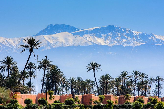 Guided Shared Day Trip Agadir to Marrakech medina & souks - Group size, pace, and comfort