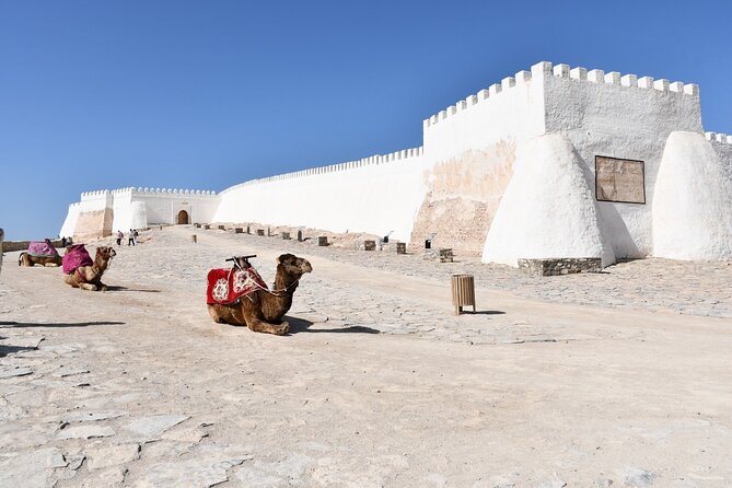 Guided Tour of Souk El Had in Agadir with a Certified Guide - Key points at a glance