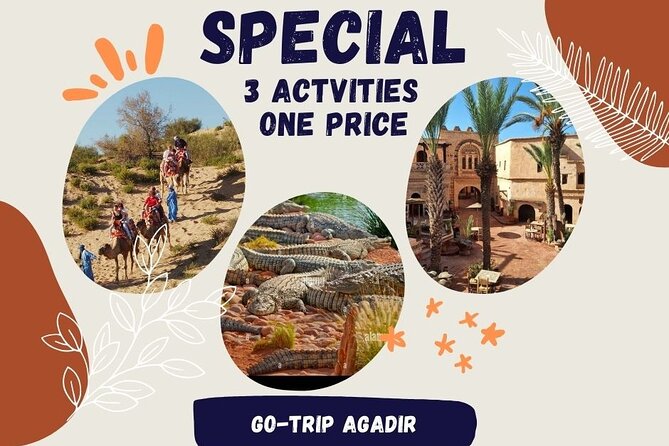 Guided Tour of Souk El Had in Agadir with a Certified Guide - Why Souk El Had is worth your time