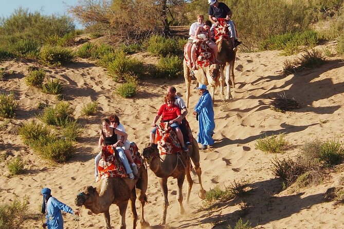 Guided Tour of Souk El Had in Agadir with a Certified Guide - The guide’s cultural role