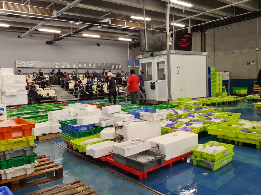 Guided visit to the Pasaia fish market - Key points to know before you go