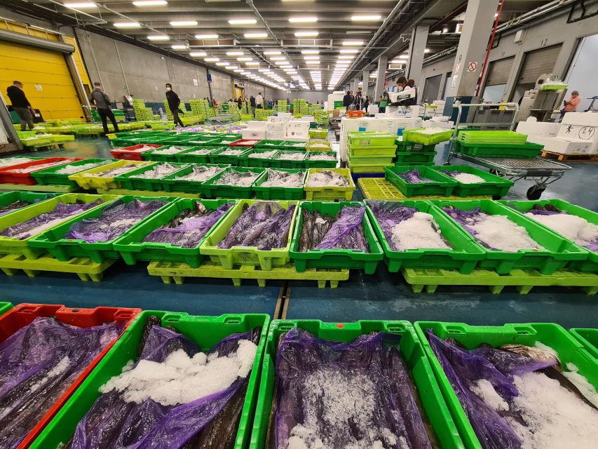 Guided visit to the Pasaia fish market - Why Pasaia’s fish market makes a good morning stop