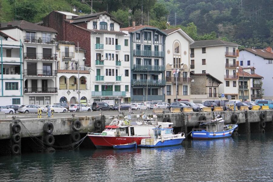 Guided visit to the Pasaia fish market - Is $17 a fair price?