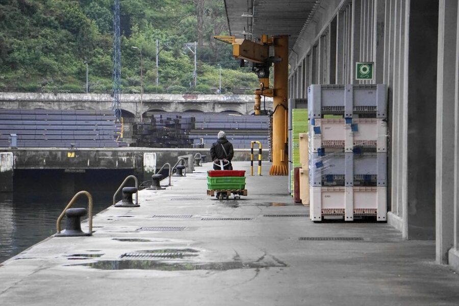 Guided visit to the Pasaia fish market - Entering a working market, not a staged attraction