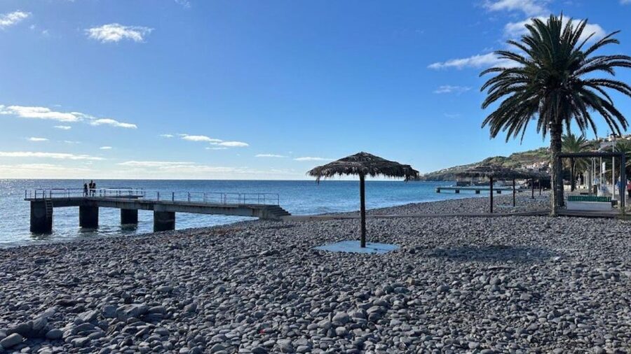 Half-Day Country Market Tour on Madeira Island - Should You Book the Madeira Country Market Tour?