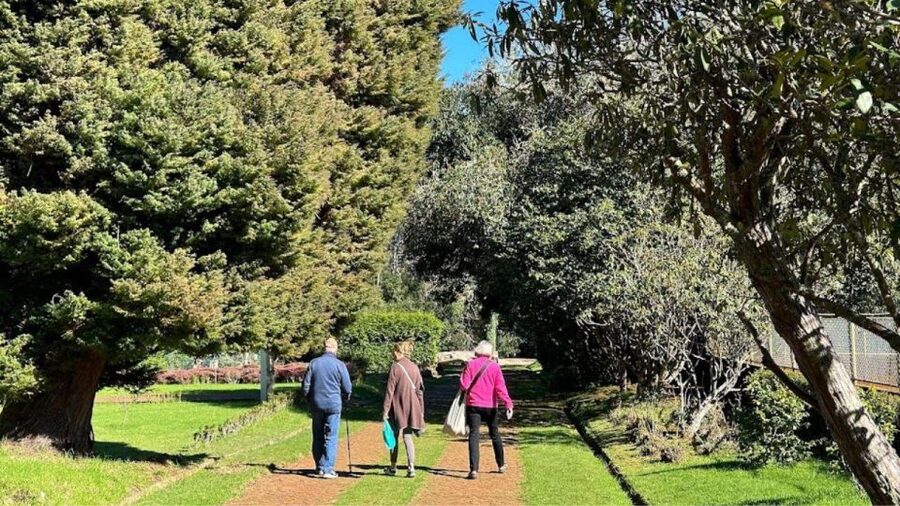 Half-Day Country Market Tour on Madeira Island - The Drive Is Part of the Madeira Experience