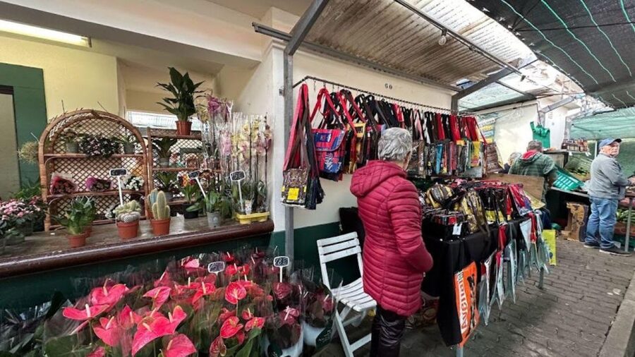 Half-Day Country Market Tour on Madeira Island - Who Will Enjoy This Tour Most?