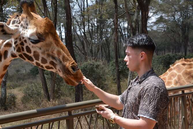 Half-Day Nairobi National Park and Maasai Market with Pick up - The morning game drive, step by step