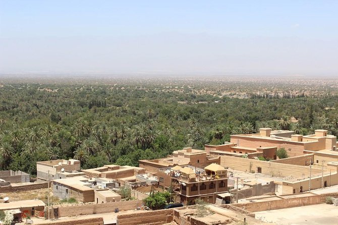 Half day tour : Agadir Goats in argan trees & Souk El Had Market - What this Agadir half-day tour really includes