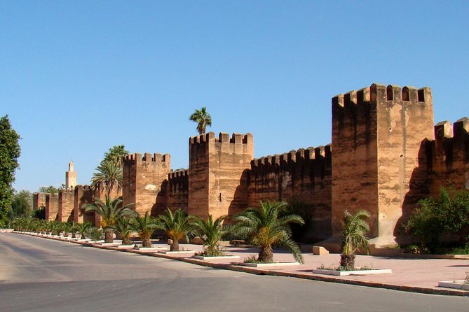 Half day tour : Agadir Goats in argan trees & Souk El Had Market - Booking tips that can prevent disappointment
