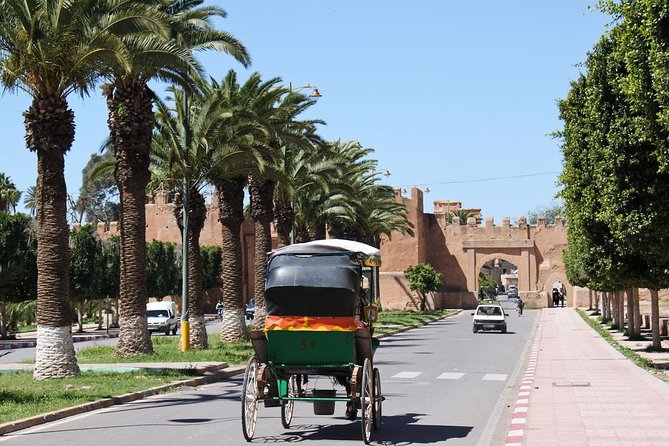 Half day tour : Agadir Goats in argan trees & Souk El Had Market - Exploring Souk El Had in Agadir