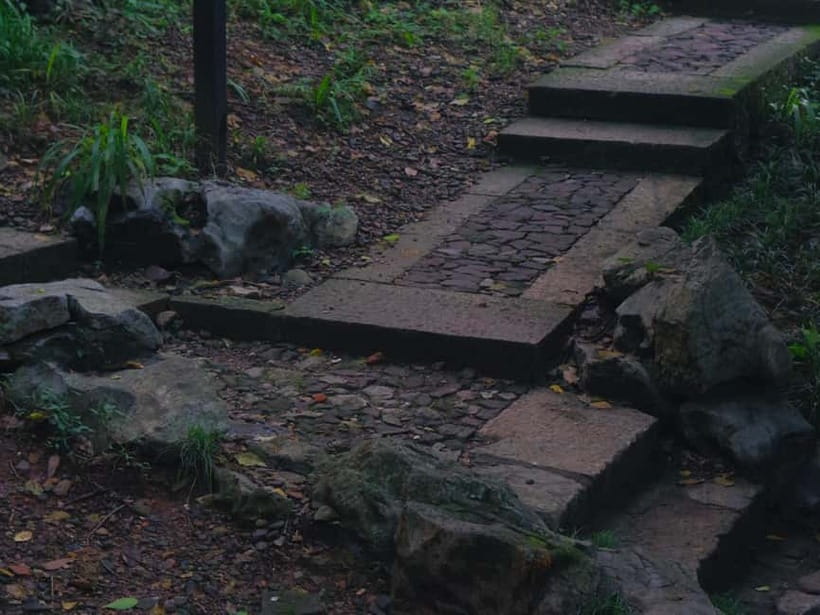 Hangzhou Insider Mini-Hike: TCM, Hill Views and Wet Market - Da Ma Long market: the most local finish