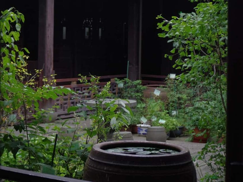 Hangzhou Insider Mini-Hike: TCM, Hill Views and Wet Market - Practical tips for a smoother morning