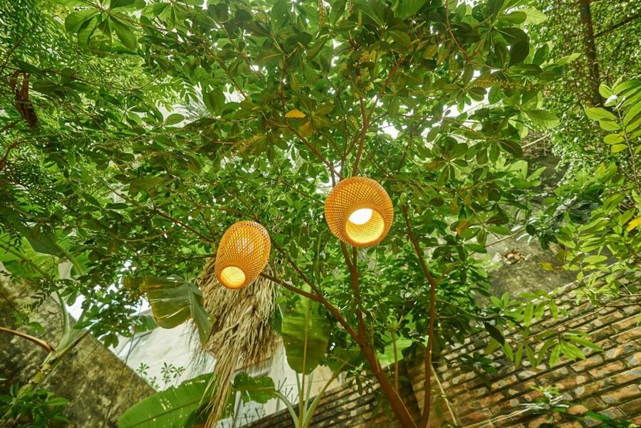 Hanoi’s Culinary: Authentic Cooking Class and Local Market - Starting early or going after lunch