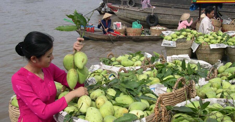 HCMC: Cai Rang Floating Market & Mekong Delta Private Tour - Key points to know before booking