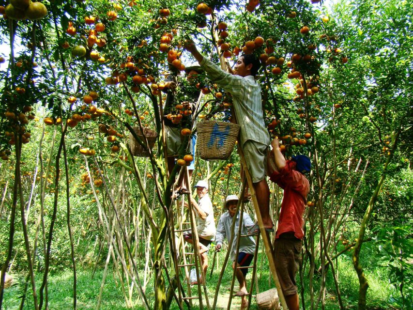 HCMC: Cai Rang Floating Market & Mekong Delta Private Tour - Bee farm, fruit, music, and local food