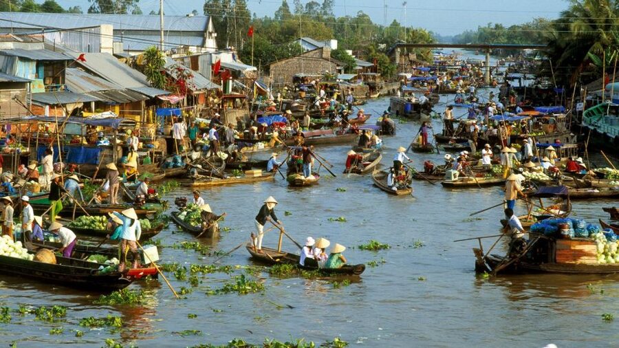HCMC: Cai Rang Floating Market & Mekong Delta Private Tour - Is $140 per person good value?