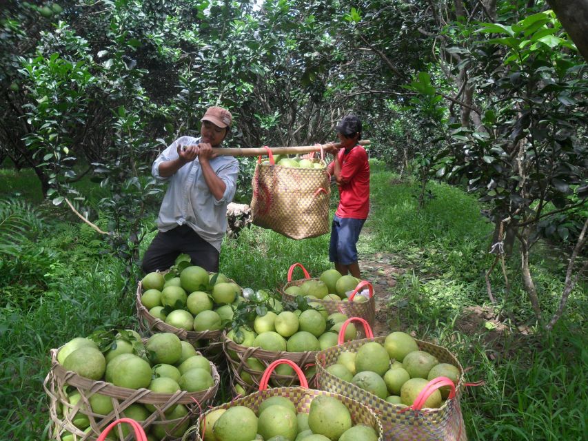 HCMC: Cai Rang Floating Market & Mekong Delta Private Tour - The long day and the timing problem