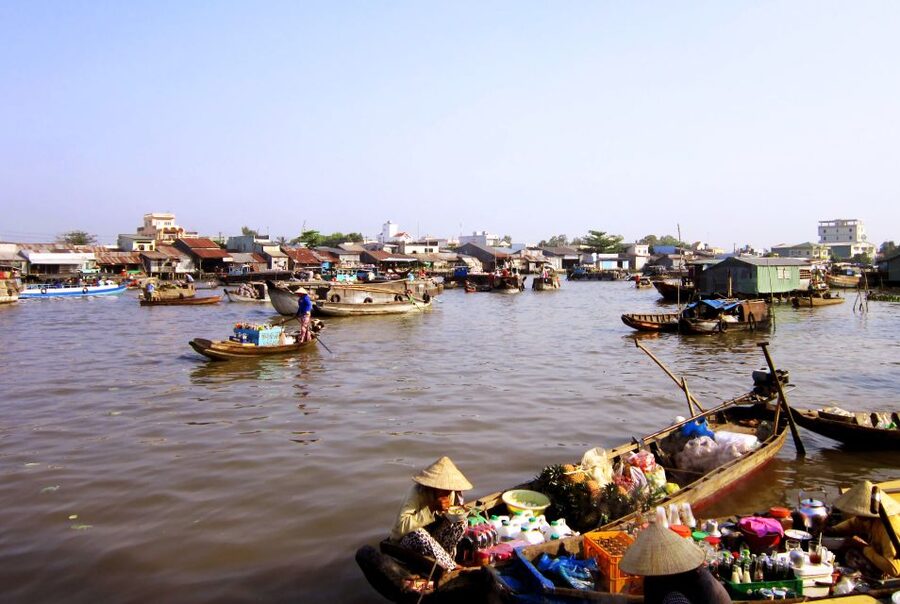 HCMC: Cai Rang Floating Market & Mekong Delta Private Tour - The three-hour road to Can Tho