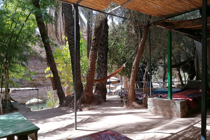 High Atlas Mountains And The Local old Market Private Day Tour - From Agadir’s beach to the High Atlas foothills
