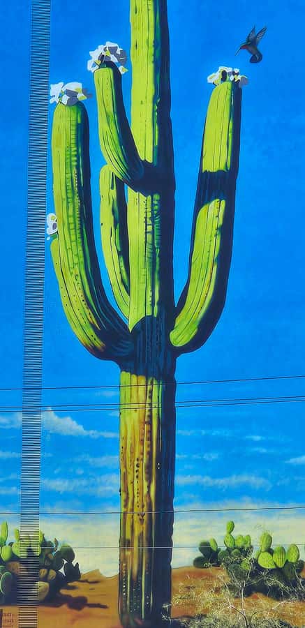 Historic Tucson Walking Tour - From irrigation canals to a Spanish fort