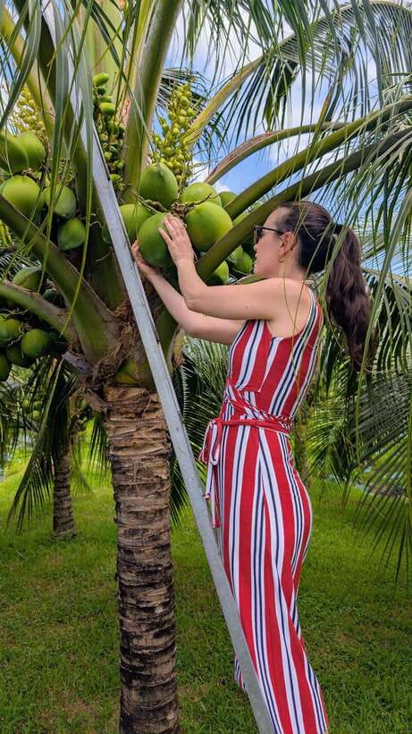 Ho Chi Minh: 1-Day Mekong Delta Tour-Floating Market & Islet - Son Islet, where food and community meet
